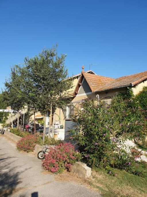 St Remy De Provence, La Maison Du Berger Saint-Andiol المظهر الخارجي الصورة