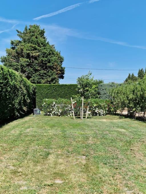 St Remy De Provence, La Maison Du Berger Saint-Andiol المظهر الخارجي الصورة