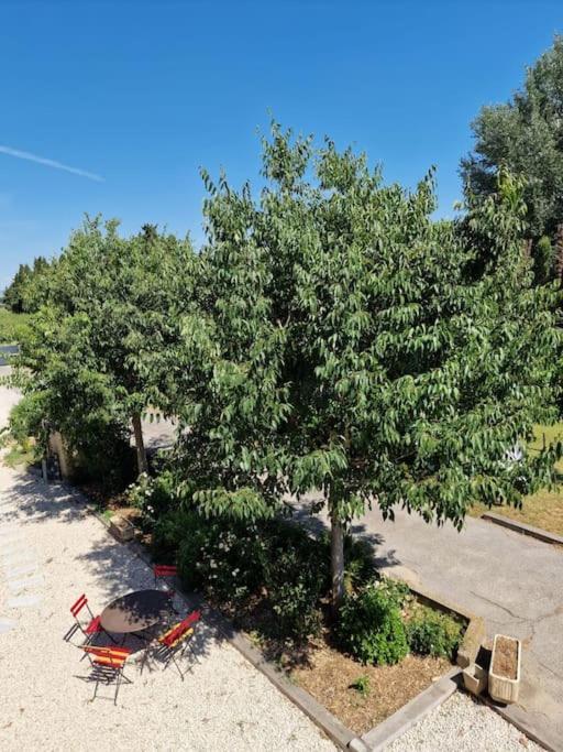 St Remy De Provence, La Maison Du Berger Saint-Andiol المظهر الخارجي الصورة